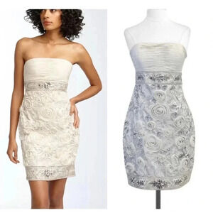 Sue Wong Silver Strapless Silk Blend Beaded Cocktail Dress Size 4
